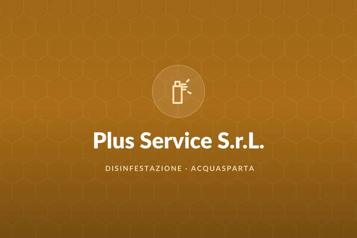 Plus Service S.r.L.