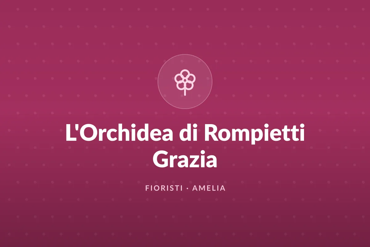 L'Orchidea di Rompietti Grazia