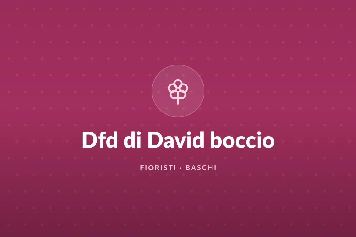 Dfd di David boccio
