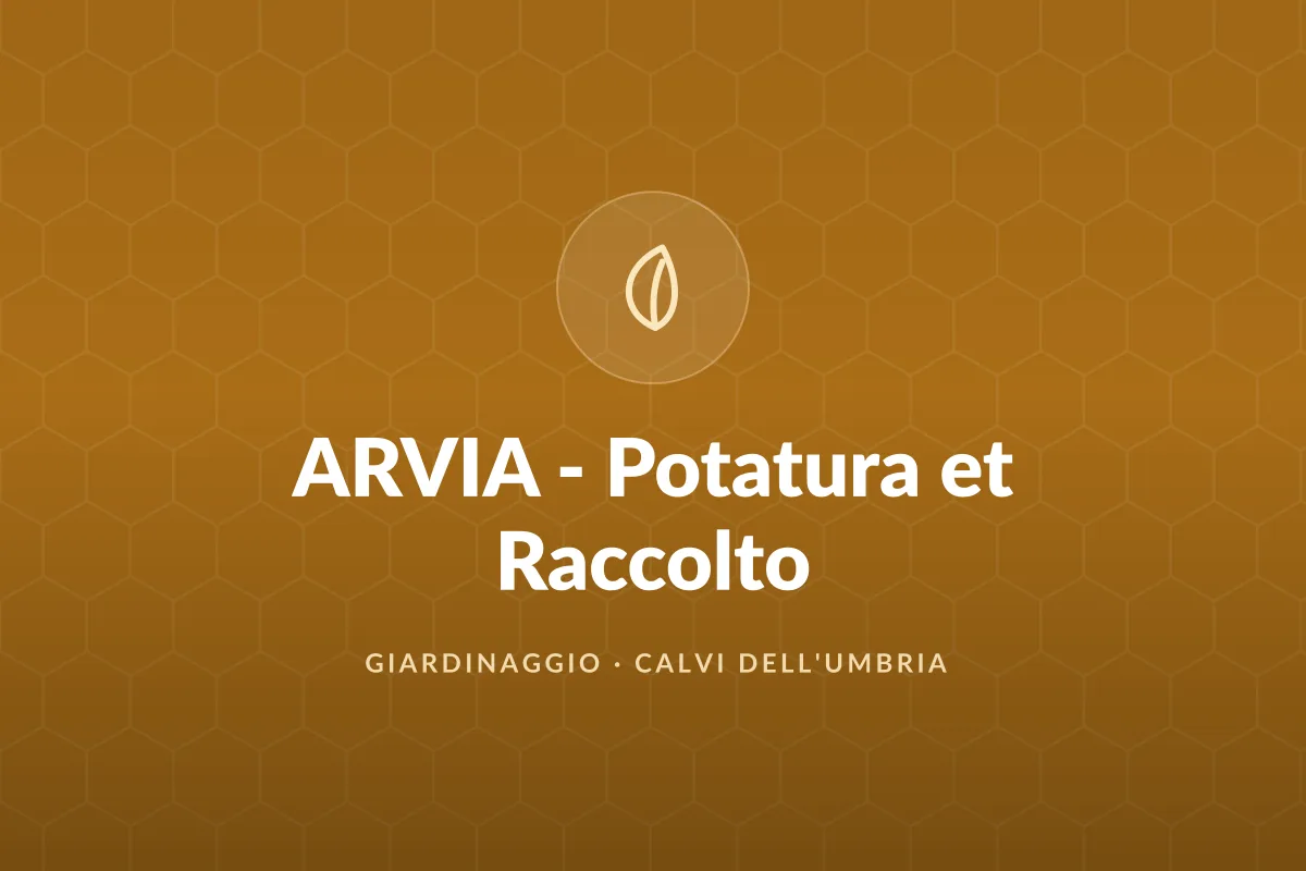ARVIA - Potatura et Raccolto