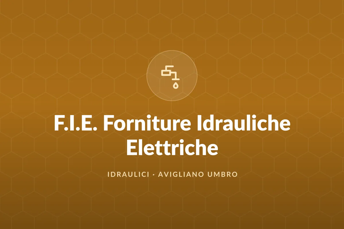 F.I.E. Forniture Idrauliche Elettriche