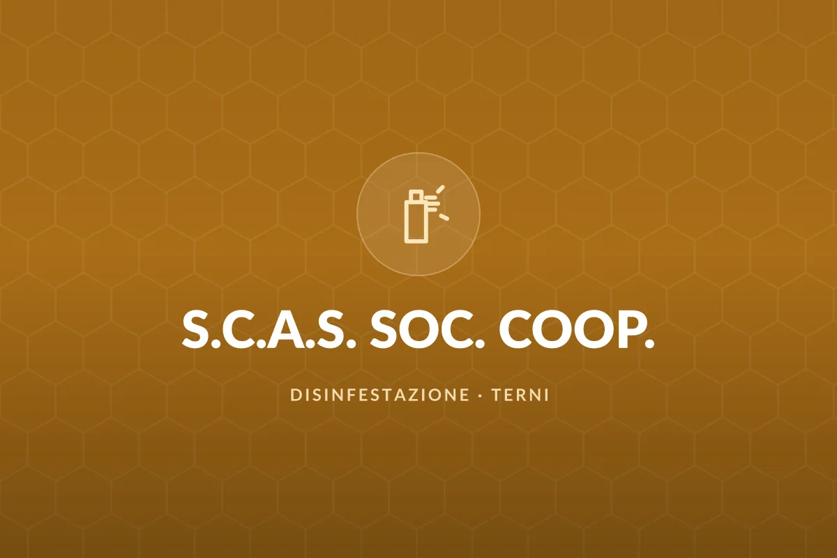 S.C.A.S. SOC. COOP.
