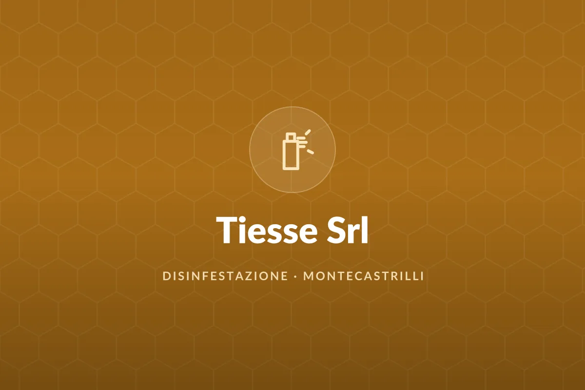 Tiesse Srl
