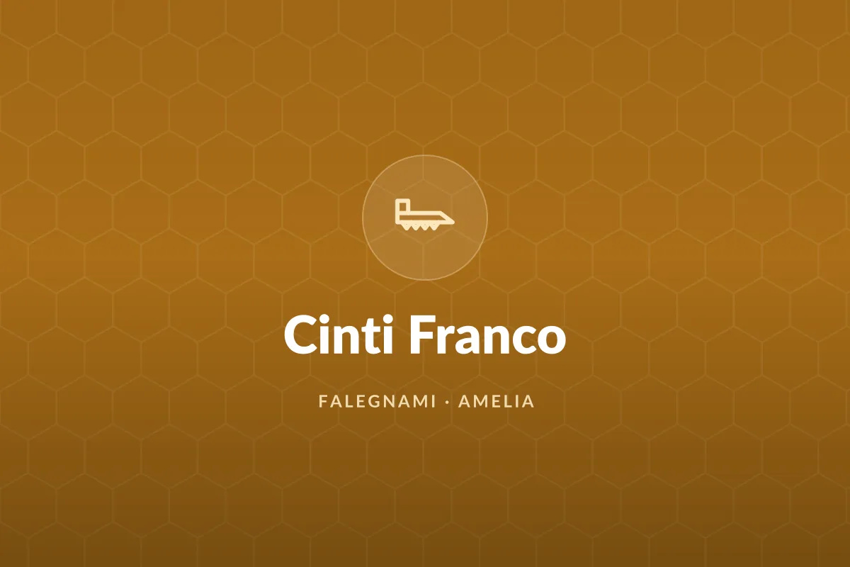 Cinti Franco