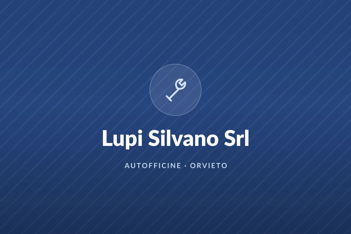 Lupi Silvano Srl
