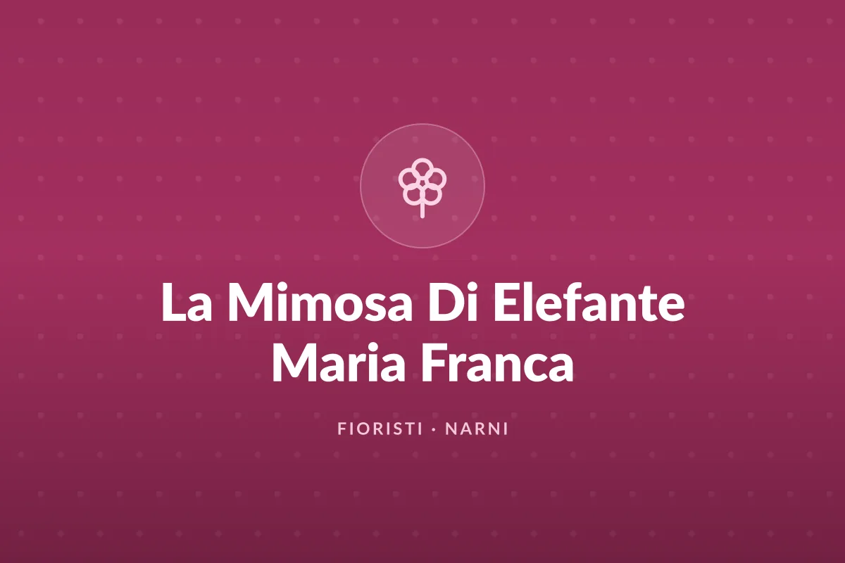 La Mimosa Di Elefante Maria Franca