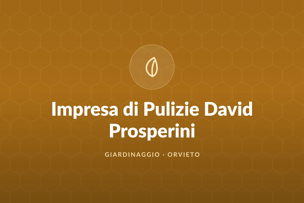Impresa di Pulizie David Prosperini