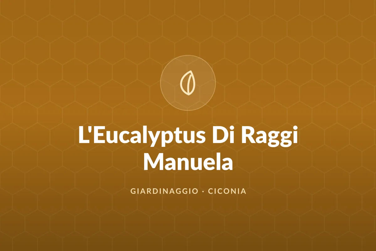 L'Eucalyptus Di Raggi Manuela