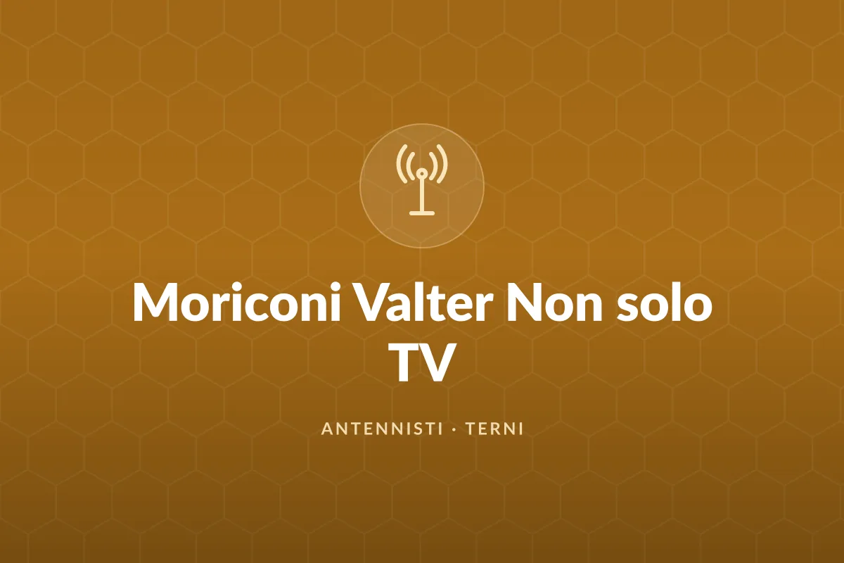 Moriconi Valter Non solo TV