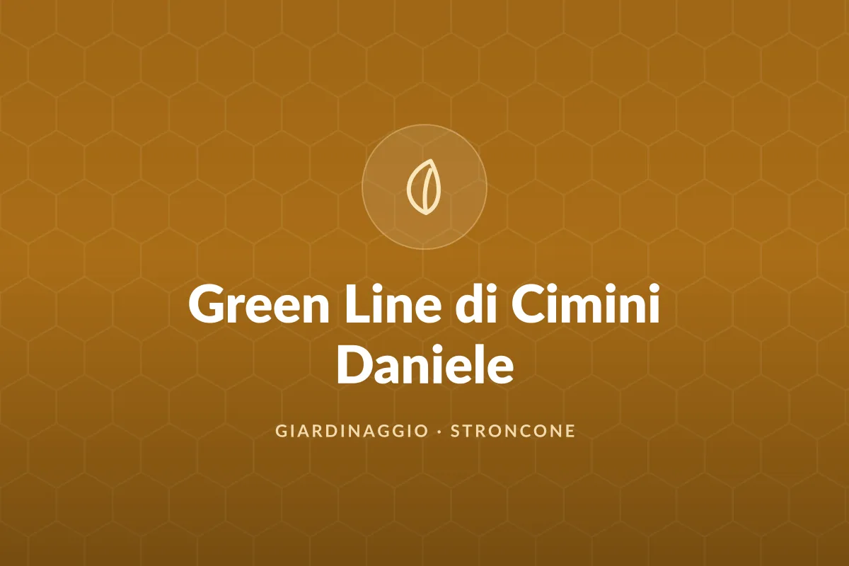 Green Line di Cimini Daniele