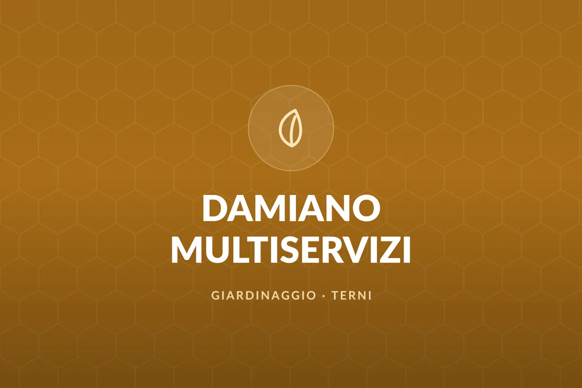 DAMIANO MULTISERVIZI