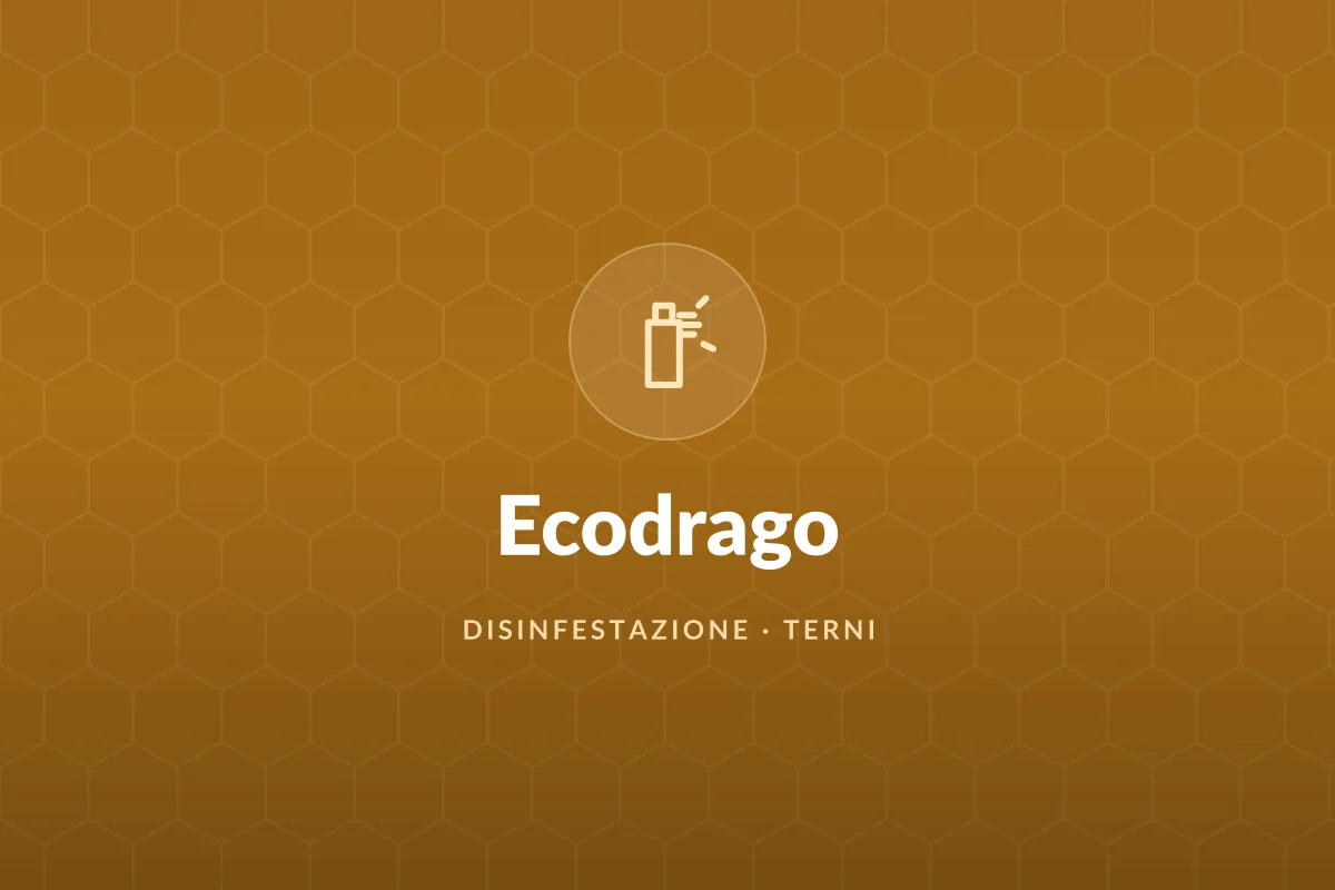Ecodrago