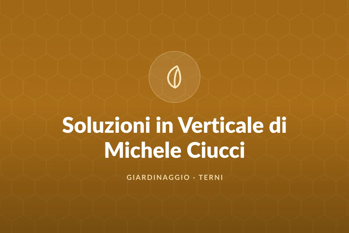 Soluzioni in Verticale di Michele Ciucci