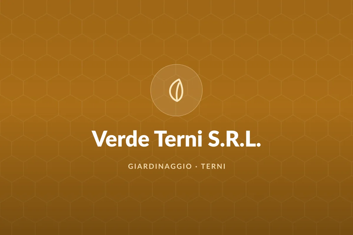 Verde Terni S.R.L.