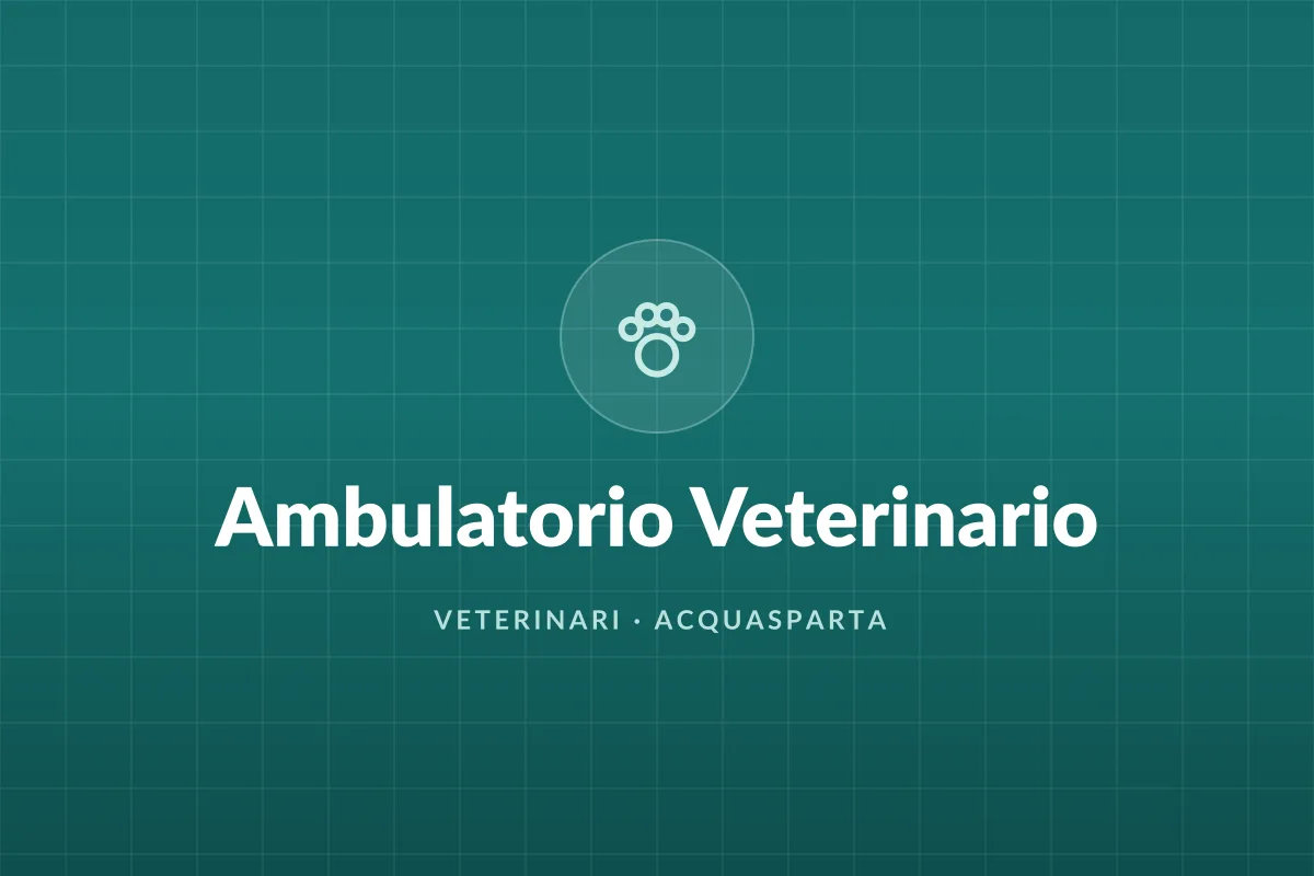 Ambulatorio Veterinario